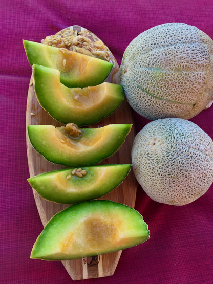 Melon Seed Collection (heirloom)