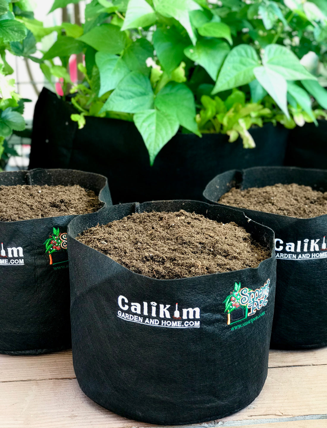 CaliKim Smart Pots 5 Gallon Container, Black (3 pack)