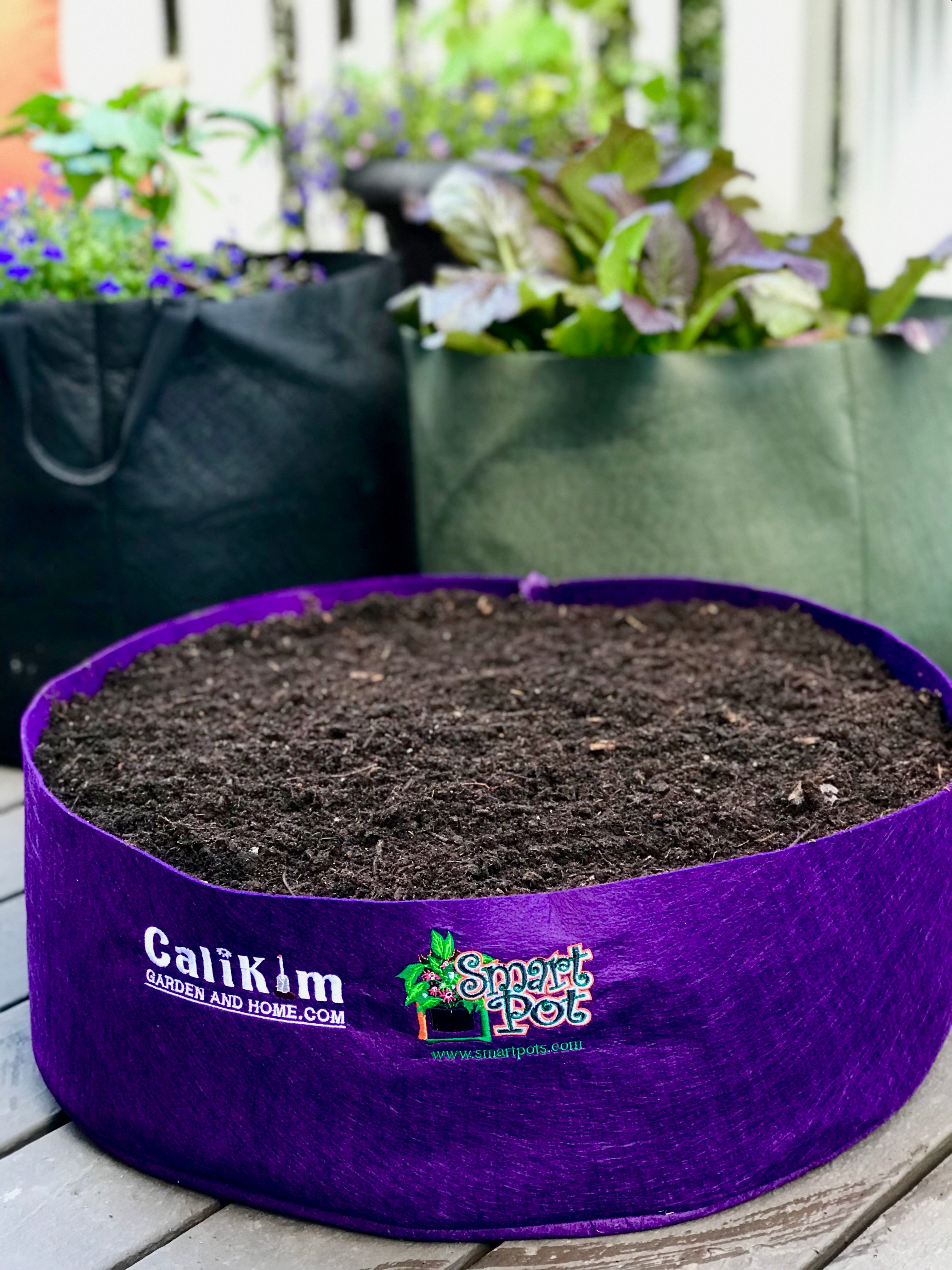 CaliKim Smart Pots Mini Raised Bed, Purple (1 pack)