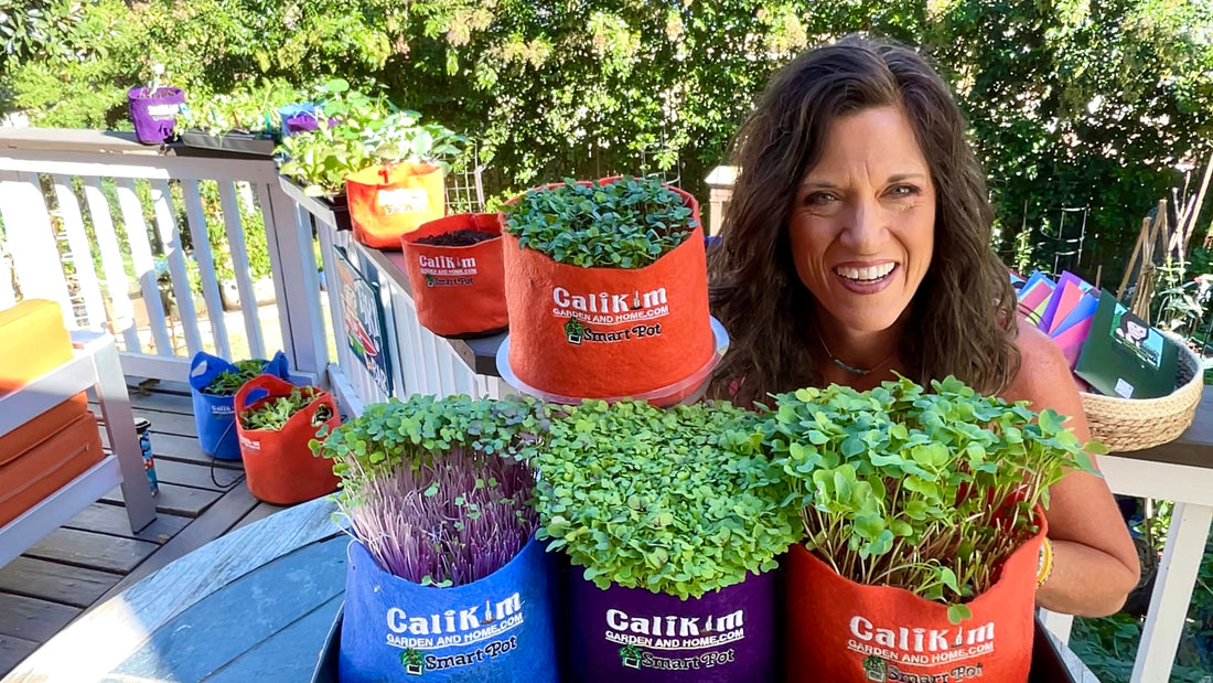 Microgreens Seed Collection - ALL NEW &amp; IMPROVED!